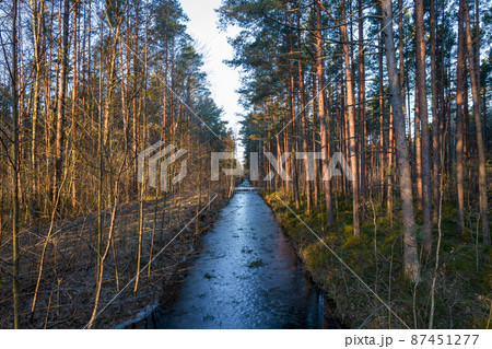 River flowing through forests and groves in golden time River flowing through forests and groves in golden time 87451277