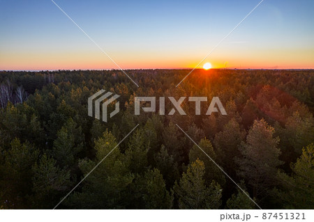 Drone photo of forests and groves in golden time 87451321