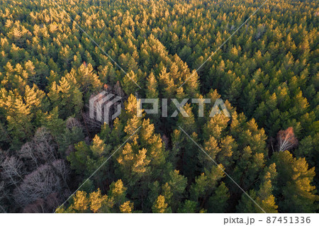 Drone photo of forests and groves in golden time 87451336