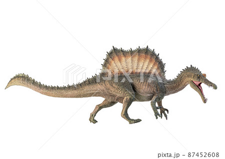 Spinosaurus , dinosaur on white background . 87452608