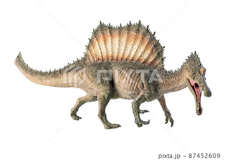 Spinosaurus , dinosaur on white background . Spinosaurus , dinosaur on white background . 87452609