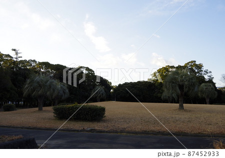 愛知県東浜中央公園　東浜緑地グラウンド 87452933