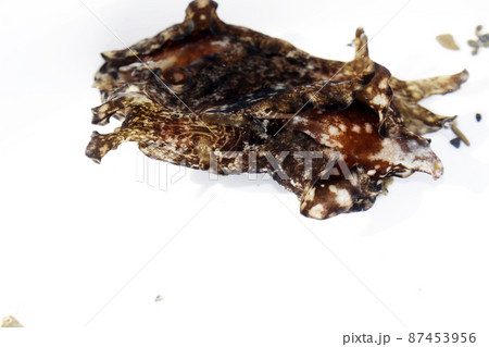 アメフラシ アメフラシ 87453956