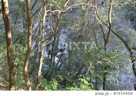 大阪高槻摂津峡の初春の風景 大阪高槻摂津峡の初春の風景 87454408