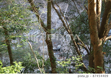 大阪高槻摂津峡の初春の風景 大阪高槻摂津峡の初春の風景 87454409