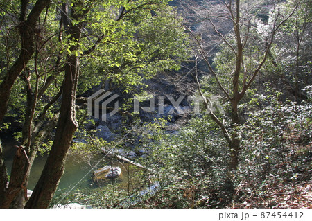 大阪高槻摂津峡の初春の風景 大阪高槻摂津峡の初春の風景 87454412
