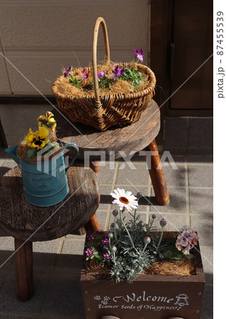 玄関前の春花の寄せ植え 87455539