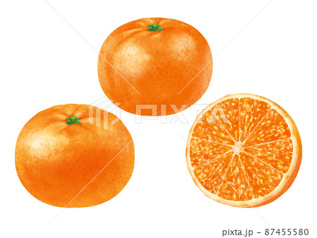 みかん 温州みかん みかん 温州みかん 87455580