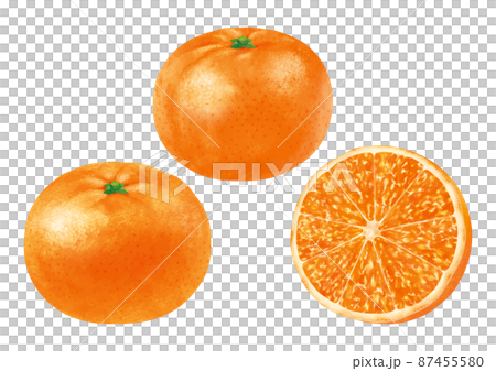 みかん 温州みかん みかん 温州みかん 87455580