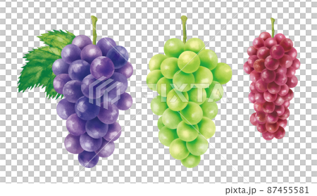 Grape grape Grape grape 87455581