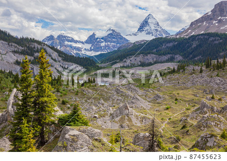 カナディアンロッキー アシニボインハイライントレイルからの風景 カナディアンロッキー アシニボインハイライントレイルからの風景 87455623