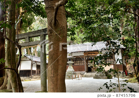 天香山神社　【奈良県橿原市南浦町】 87455706
