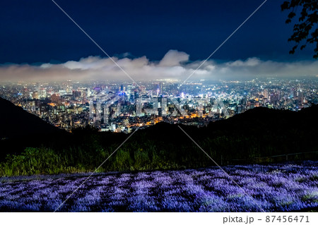 海道札幌市　幌見峠展望駐車場　～札幌市街の夜景とラベンダー畑～ 87456471