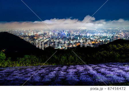 海道札幌市　幌見峠展望駐車場　～札幌市街の夜景とラベンダー畑～ 87456472