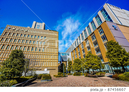 帝京大学板橋キャンパス 帝京大学板橋キャンパス 87456607