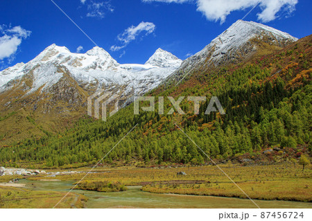 中国　四川省にある四姑娘山自然保護区の風景 87456724