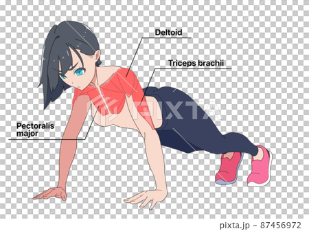 Names of women and muscles doing push-ups (English) Names of women and muscles doing push-ups (English) 87456972