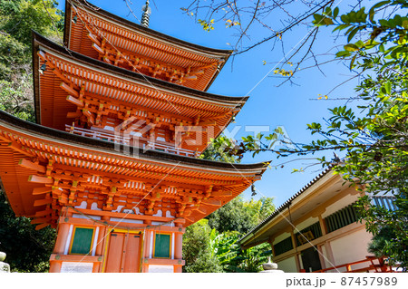 滋賀県長浜市　琵琶湖　竹生島宝厳寺の三重塔 87457989