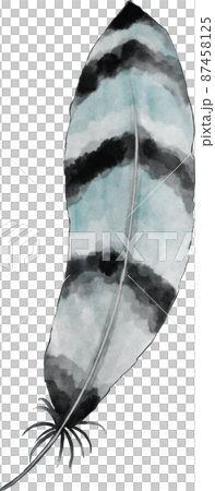 水彩羽毛插圖 87458125