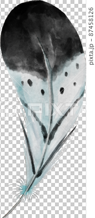 watercolor feather illustration 87458126