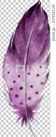 watercolor feather illustration 87458129
