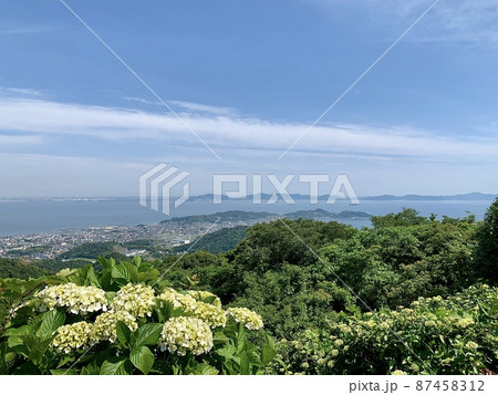 青空に映える三河湾と紫陽花［三ヶ根山展望台より/愛知県西尾市東幡豆町］ 87458312