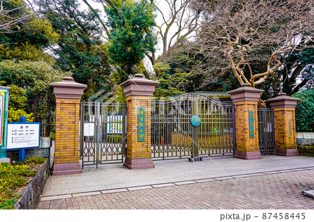 学習院大学 87458445