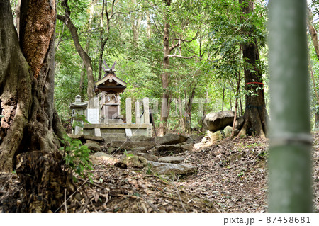 伊弉諾神社(天香具山) 【奈良県橿原市南浦町】 伊弉諾神社(天香具山) 【奈良県橿原市南浦町】 87458681