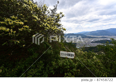 向山連山より 87458722