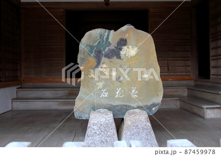 初春の谷汲山華厳寺散策・34(岐阜県揖斐郡揖斐川町谷汲) 初春の谷汲山華厳寺散策・34(岐阜県揖斐郡揖斐川町谷汲) 87459978