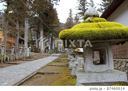 初春の谷汲山華厳寺散策・70(岐阜県揖斐郡揖斐川町谷汲) 初春の谷汲山華厳寺散策・70(岐阜県揖斐郡揖斐川町谷汲) 87460014