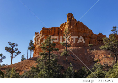 United States, Utah, Bryce Canyon National Park, Hoodoo rock formations 87460531