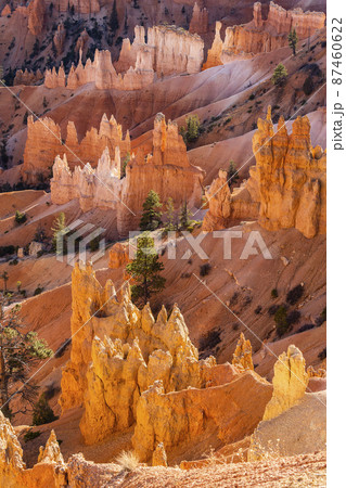 United States, Utah, Bryce Canyon National Park, Hoodoo rock formations in canyon 87460622