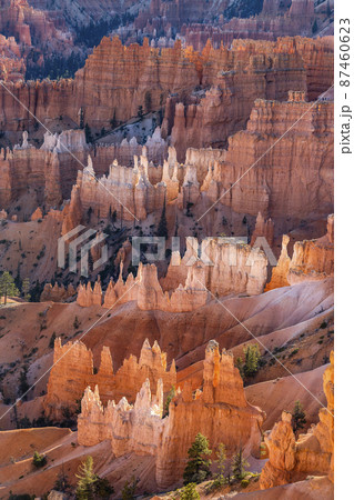 United States, Utah, Bryce Canyon National Park, Hoodoo rock formations in canyon 87460623