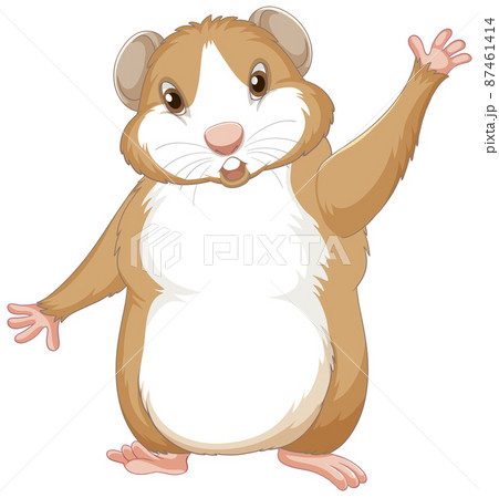 A Cute guinea pig on white background A Cute guinea pig on white background 87461414