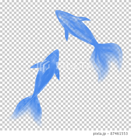 Two watercolor goldfish blue 87461553