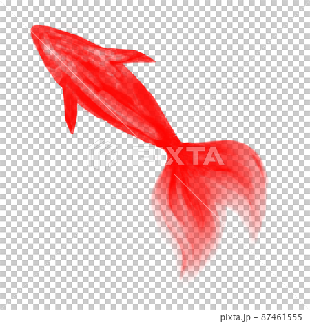 Watercolor goldfish red Watercolor goldfish red 87461555