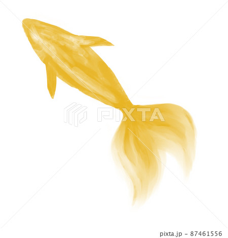 水彩の金魚 黄色 ゴールドのイラスト素材
