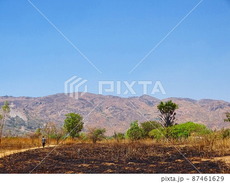 アフリカのマラウイ・ゾンバの日常風景 87461629