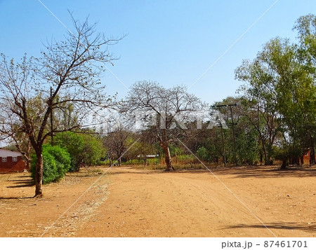 アフリカのマラウイ・ゾンバの日常風景 87461701