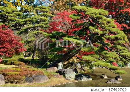 秋の皇居東御苑　二の丸庭園 87462702