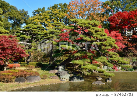 秋の皇居東御苑　二の丸庭園 87462703
