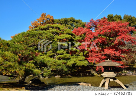 秋の皇居東御苑　二の丸庭園 87462705