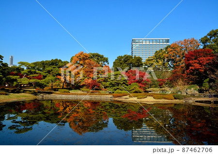 秋の皇居東御苑 二の丸庭園 秋の皇居東御苑 二の丸庭園 87462706