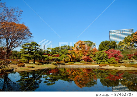 秋の皇居東御苑 二の丸庭園 秋の皇居東御苑 二の丸庭園 87462707