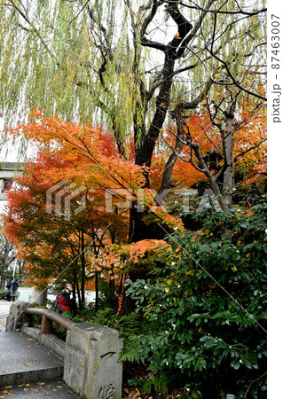 晴明神社 旧・一條戻橋 晴明神社 旧・一條戻橋 87463007
