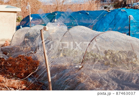 回転する鳥よけペットボトル風車 回転する鳥よけペットボトル風車 87463037