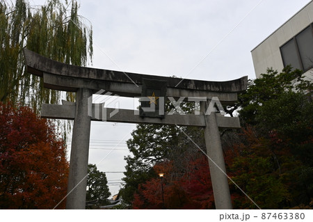 晴明神社　一の鳥居 87463380