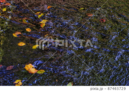 塩井神社の小川 87463729