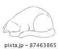 ごめん寝する猫(ぬりえ) 87463865